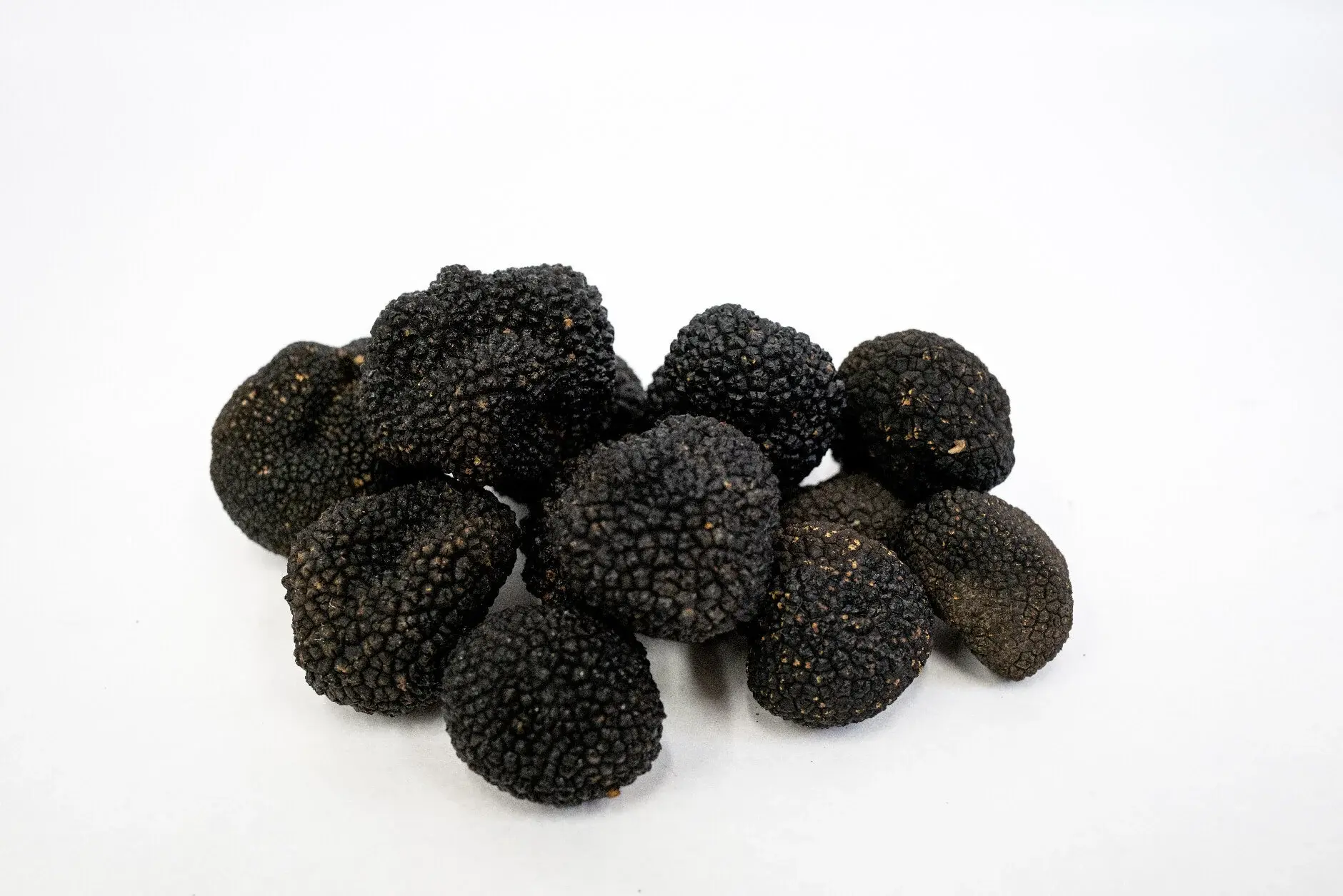 Truffe d'été