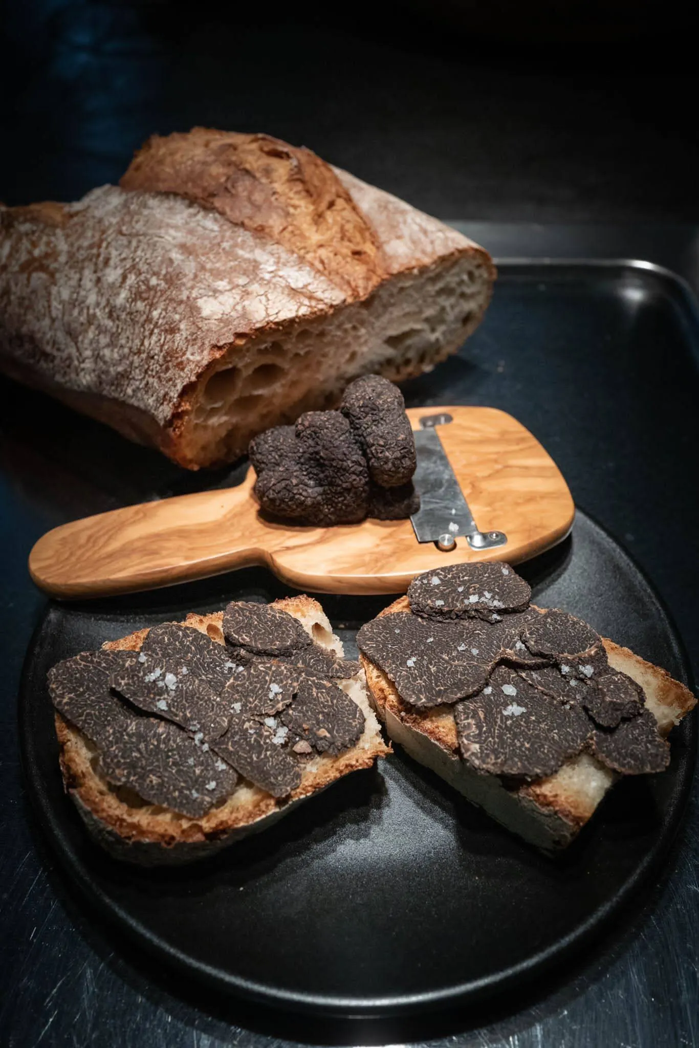 La truffe du Périgord - vue 2